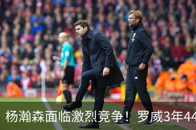 杨瀚森面临激烈竞争！罗威3年4400万美元续约开拓者